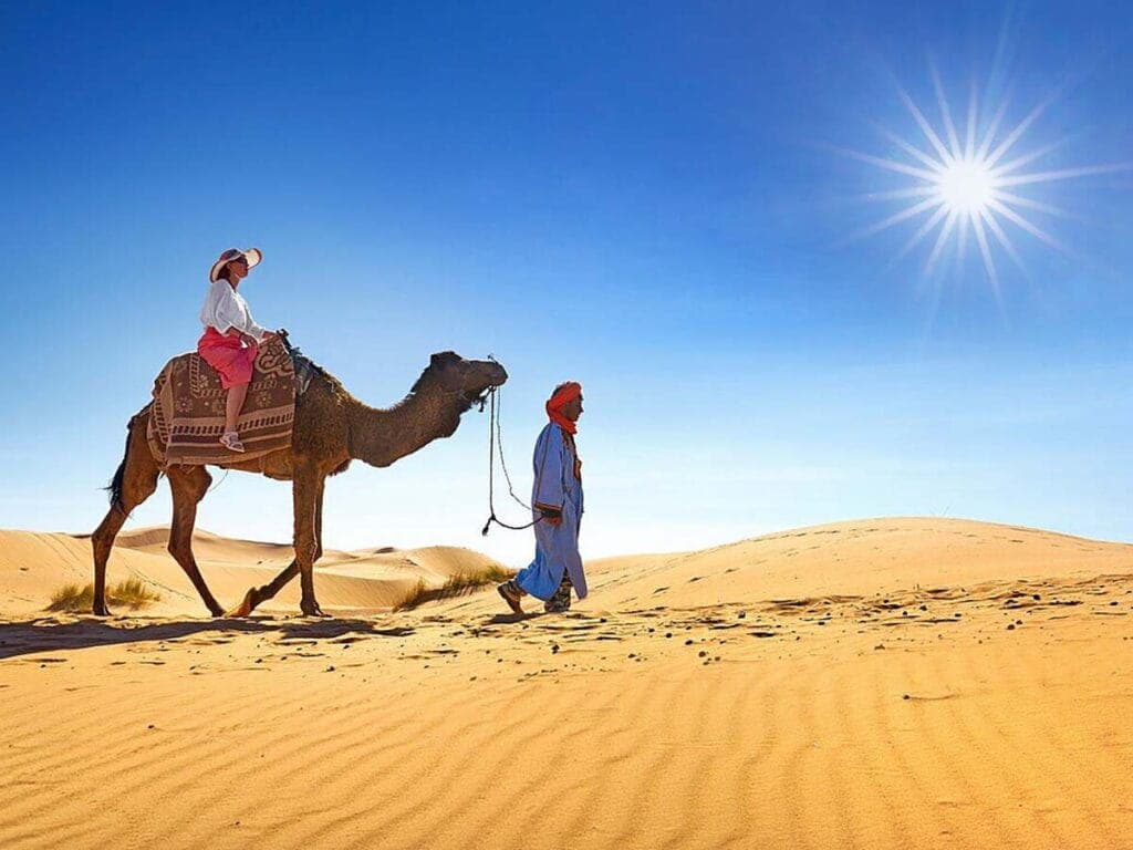 Camel Ride
