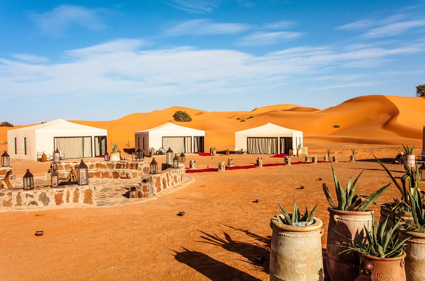 Desert Camp