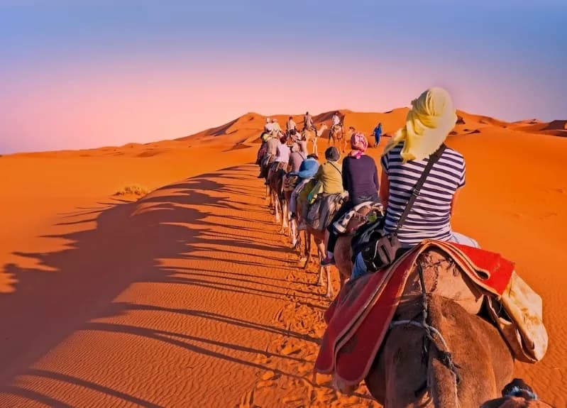 Desert Tour