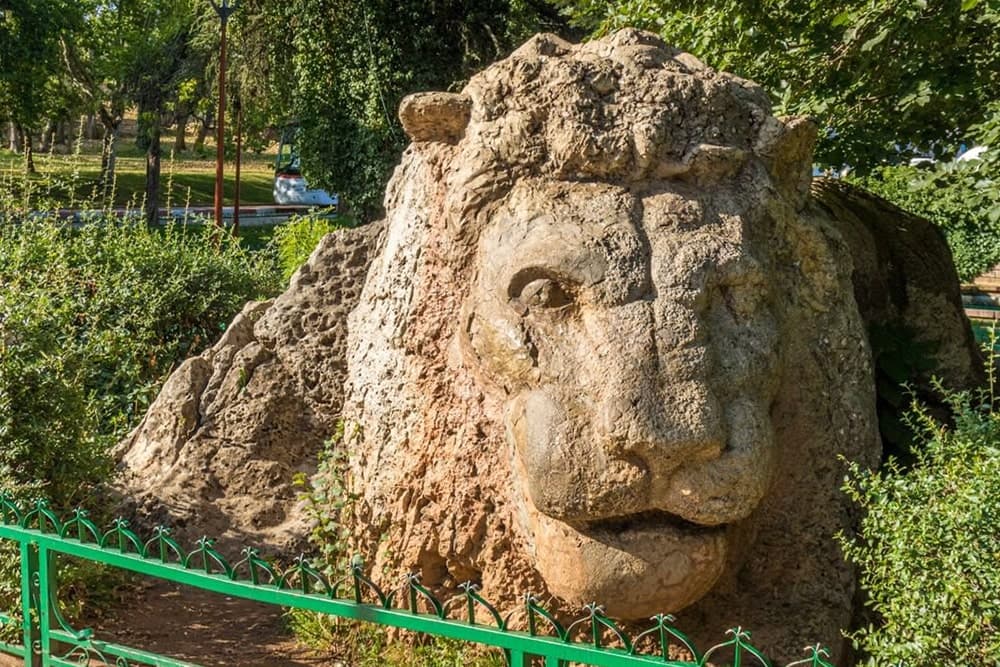 Ifrane Lion